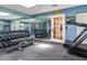 Well-equipped home gym featuring a variety of weights, equipment, and mirrored walls, perfect for fitness enthusiasts at 3724 Fawn Grove Ct, Land O Lakes, FL 34639