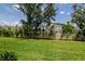 Lush, spacious backyard featuring mature trees and privacy landscaping at 4262 Cloud Hopper Way, Lutz, FL 33559