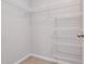 Walk-in closet with wire shelving for organized storage at 4262 Cloud Hopper Way, Lutz, FL 33559