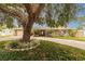 Charming single-story home featuring a spacious driveway and mature landscaping with a large tree at 6635 9Th N Ave, St Petersburg, FL 33710