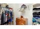 Walk-in closet featuring shelving units, hanging racks, and a three-drawer dresser at 8111 Brickleton Woods Ave, Gibsonton, FL 33534