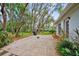 Spacious backyard featuring a patio, mature trees, and a lush lawn at 8619 Gold Pine Dr, Port Richey, FL 34668