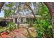 Exterior of a home showcasing a backyard with mature trees, a patio, and a grill at 8619 Gold Pine Dr, Port Richey, FL 34668