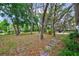 A tranquil, tree-filled backyard offers a serene outdoor space at 8619 Gold Pine Dr, Port Richey, FL 34668