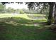 Scenic view of a lush park with mature trees and a tranquil pond surrounded by ducks at 10402 Ashley Oaks Drive, Riverview, FL 33578