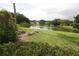 Picturesque pond view surrounded by lush greenery and landscaping at 10402 Ashley Oaks Drive, Riverview, FL 33578