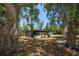 Home's exterior with mature landscaping and shade trees creating a peaceful setting at 1501 Howard Pl, Largo, FL 33770