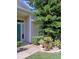 Charming entrance with a teal door and lush, mature landscaping at 1605 Send Way, Lutz, FL 33549