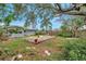 Expansive backyard featuring a large tree providing shade, a small deck, and lush landscaping at 1841 Douglas Ave, Dunedin, FL 34698