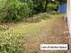 Expansive backyard with a mix of grass and foliage, offering privacy and space at 20989 Negril, Lutz, FL 33558