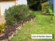 Expansive front yard featuring lush greenery and mature landscaping, offering great curb appeal at 20989 Negril, Lutz, FL 33558