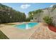Backyard pool with surrounding trees and shrubbery and the exterior of the home in the background at 333 30Th N Ave, St Petersburg, FL 33704