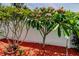 Lush backyard featuring flowering trees, verdant greenery, and mulch, creating a serene outdoor space at 4300 31St N Ave, St Petersburg, FL 33713