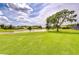 Lush green backyard featuring a serene pond and manicured landscaping at 4304 Place Le Manes, Lutz, FL 33558