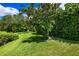 Green backyard with meticulous landscaping, and a variety of mature trees at 5904 Pelican Bay S Plz, Gulfport, FL 33707