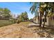 Backyard featuring a patio and grass at 8009 Somerset Ln, Tampa, FL 33615