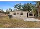 Backyard featuring a patio and grass at 8009 Somerset Ln, Tampa, FL 33615