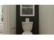 A half bathroom featuring a toilet set against a gray accent wall with decorative plant and artwork at 9414 Gladsome Dr, Land O Lakes, FL 34637