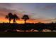 Palm trees silhouetted by a vibrant sunset, with a pond reflecting the colorful sky at 1012 Radison Lake Ct # 59, Sun City Center, FL 33573