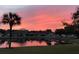 Picturesque pond with vibrant sunset reflecting off the water, complemented by swaying palms at 1012 Radison Lake Ct # 59, Sun City Center, FL 33573