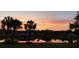 Beautiful sunset reflecting off a serene lake, lined with swaying palm trees at 1012 Radison Lake Ct # 59, Sun City Center, FL 33573