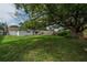 Large, grassy backyard with mature trees, creating a serene and private outdoor setting at 117 Connie Ave, Tampa, FL 33613