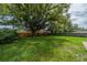 A large, grassy backyard with mature trees and a wood fence at 117 Connie Ave, Tampa, FL 33613