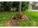 Well maintained yard displaying a variety of greenery and landscaping at 117 Connie Ave, Tampa, FL 33613