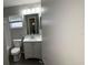 Well-lit bathroom features a toilet, a sink with cabinet, and a mirror at 12804 Millridge Forest St, Tampa, FL 33624