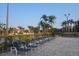 Relaxing lounge chairs by the pool surrounded by lush tropical palm trees offer a resort-style experience at 2333 Feather Sound Dr # A401, Clearwater, FL 33762