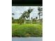View of a lush backyard with tall palm trees overlooking a serene pond, providing a tranquil and picturesque outdoor space at 2511 Indian Key Dr, Holiday, FL 34691