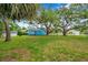 Large backyard featuring mature trees, chain link fencing, and lush green grass at 320 Broadway, Dunedin, FL 34698