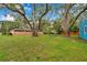 Large backyard with mature trees, chain link fence, lush lawn, and privacy at 320 Broadway, Dunedin, FL 34698
