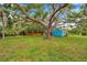 Spacious backyard with mature trees, chain link fencing, and well-manicured lawn at 320 Broadway, Dunedin, FL 34698