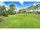 Expansive green lawn, providing ample space for recreation and outdoor activities at 3519 Old Course Ln, Valrico, FL 33596