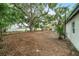 Large, private backyard featuring mature trees and ample space for recreation and gardening at 3812 W Rogers Ave, Tampa, FL 33611