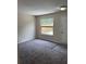 Cozy living room with plush carpeting, ample natural light from a large window, and a clean, neutral color palette at 4793 Pleasant Ave, Palm Harbor, FL 34683