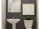 A modern powder room showcasing a pedestal sink, a toilet, a square mirror, and a dark accent wall, reflecting stylish design at 7961 Painted Sky Pl, Land O Lakes, FL 34637