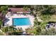 Aerial view of a sparkling outdoor pool with lounge chairs, umbrellas, and lush tropical landscaping at 101 Cambridge Trl # 205, Sun City Center, FL 33573