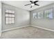 Light-filled bedroom with a ceiling fan, plush carpeting, and natural light from large windows at 11407 Drifting Leaf Dr, Riverview, FL 33579