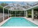 Screened-in pool area with clear water and a lush green surrounding landscape at 11623 Greensleeve Ave, Tampa, FL 33626
