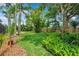 Lush backyard boasts tropical landscaping and privacy fence at 1695 Cinnamon Ln, Dunedin, FL 34698