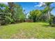 Spacious backyard showcasing lush greenery and mature trees, creating a serene and private outdoor space perfect for relaxation at 1695 Cinnamon Ln, Dunedin, FL 34698