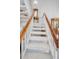 Carpeted staircase featuring wood trim, leading to the upper level of the home at 184 Hunter Ct, Palm Harbor, FL 34684