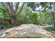 Spacious backyard deck with lush greenery, perfect for relaxing and outdoor gatherings at 2051 Indigo Dr, Clearwater, FL 33763