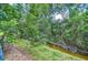 Peaceful backyard creek surrounded by mature trees and foliage, offering privacy at 2051 Indigo Dr, Clearwater, FL 33763