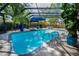 Sparkling pool with screened enclosure, outdoor umbrella, and lush landscaping for added privacy at 3089 Ashland Ter, Clearwater, FL 33761