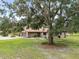 Wonderful back yard with a large tree creating plenty of shade for the property at 309 Hidden Lake Dr, Brandon, FL 33511