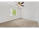 Bright bedroom with carpet flooring, ceiling fan, and a large window for plenty of natural light at 409 S Audubon Ave # 3, Tampa, FL 33609