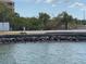 View of the waterfront with trees, rocky shoreline, and clear water at 4851 W Gandy Blvd # B10L30, Tampa, FL 33611